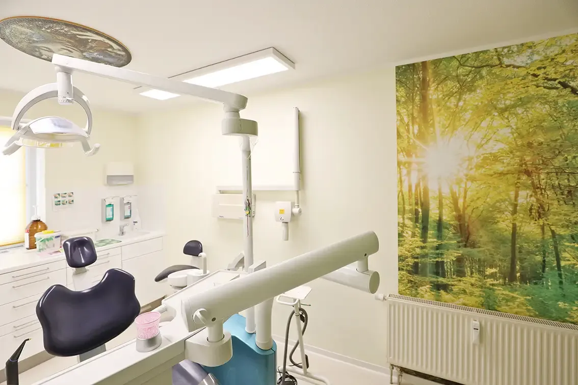helles, freundliches Behandlungszimmer mit Waldbild an der Wand
